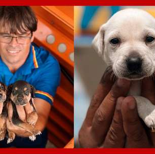 Frentistas acolhem cadela e filhotes de rua, e anúncio de adoção viraliza nas redes