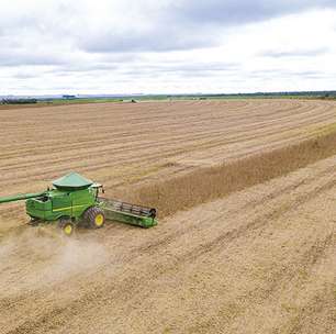 Em menos de quatro décadas, área destinada à soja cresce nove vezes