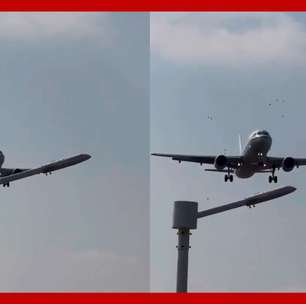 Avião acerta bando de pássaros durante pouso em aeroporto na China