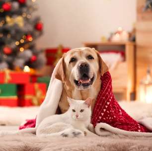 8 presentes de Natal criativos para os animais