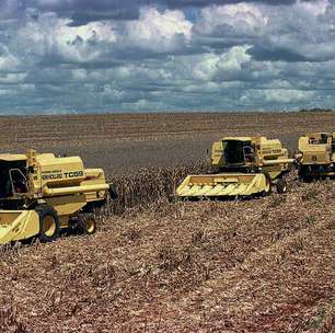 Agricultura insustentável e consumo excessivo deixam a natureza em perigo, alerta ONU