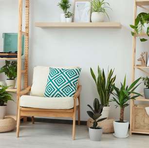 7 plantas para tercomo mexer no bet365apartamento