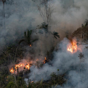 Amazônia bate recorde de queimadascomo apostar no pixbet copa do mundo2024; Pará registra maior focos de incêndio