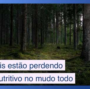 Por que vegetais estão perdendo valor nutritivo no mundo todo?