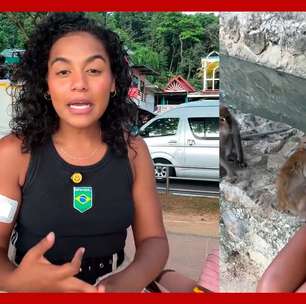 Brasileira é mordida por macaco na Tailândia e gasta mais de R$ 6 mil em tratamento contra raiva