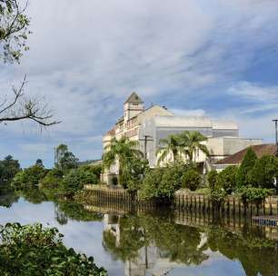 Joinville: Um Destino Inesquecível para Amantes de Cultura e Natureza