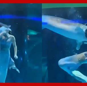 'Sereia' tem cabeça mordida por peixe enquanto nadava em aquário na China