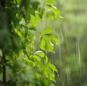 6 dicas para cuidar da saúde durante as chuvas de verão