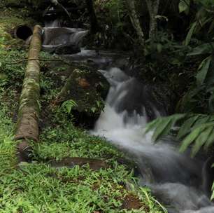 Conheça o parque com cachoeira, em plena zona norte de São Paulo