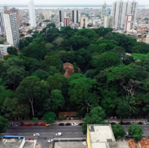 De Olho na COP 30: Ciência e Inovação terão papel central na conferência de Belém