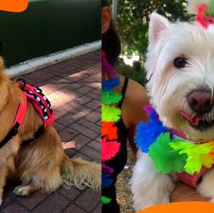 BloCão do Totó anima tutores e animais