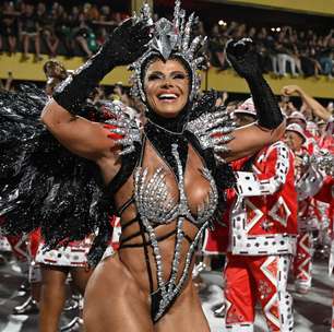 Para quem vai os R$ 830 mil de multa aplicada pela Liesa nas escolas do Rio?