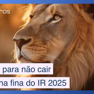 5 dicas para não cair na malha fina do Imposto de Renda