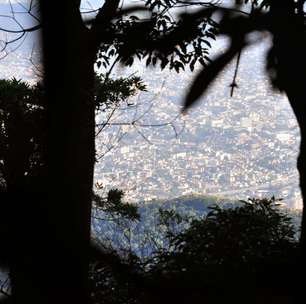 Floresta da Tijuca pode passar para gestão da Prefeitura do Rio, propõe Cesar Maia