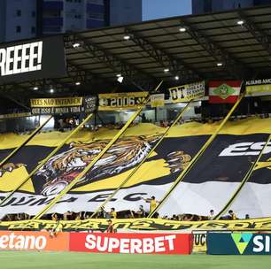 Torcida organizada "Os Tigres", do Criciúma, recebe punição