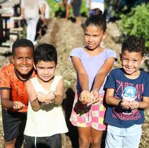 Comunidade na periferia do Recife planta horta com técnica de 5 mil anos