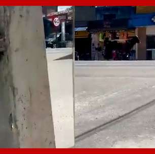 Boi escapa de caminhão e ataca pedestres em rodovia de AL; mulher ficou ferida