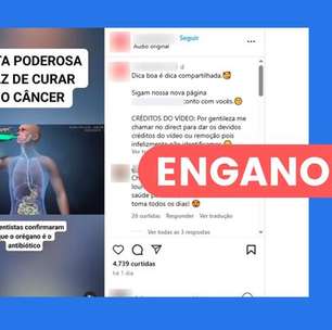 Vídeo engana sobre benefícios do orégano; tempero não previne ou cura câncer