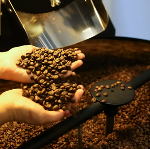 Café moído acumula alta de 77,78% em 12 meses, diz IBGE