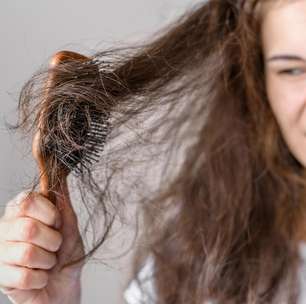 Como tratar o cabelo ressecado? Especialista dá 3 dicas