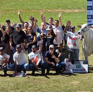 'Indescritível': vaca de R$ 24 milhões se consagra primeira tetracampeã nacional da raça nelore