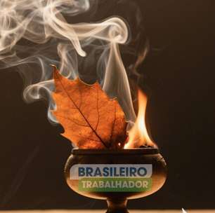 Se você queimar folhas de louro em casa algo incrível acontece