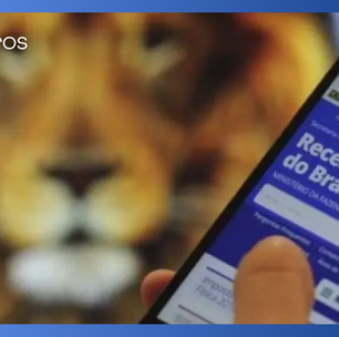 Como declarar o imposto de renda 2025?