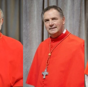 Mais 3 cardeais surgem como cotados a papa na 'última hora'