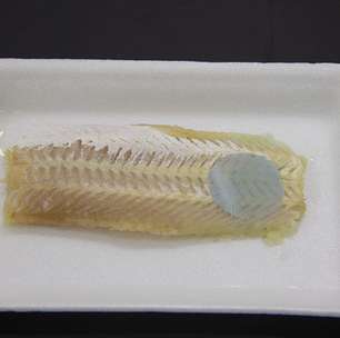 Cientistas desenvolvem embalagem que muda de cor quando peixe estraga