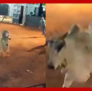 Touro escapa de curral e avança contra o público durante rodeio em Goiás