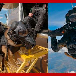 Cachorro da PM de SP se torna o primeiro cão policial a saltar de paraquedas no Brasil