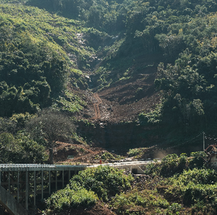 Mata Atlântica: desmatamento cai só 2% em um ano e pode levar à extinção de espécies e surtos na saúde pública