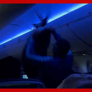 Passageiro flagra pombas dentro de avião, e voo decola com atraso nos EUA