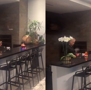 Alimentar morcegos como Xuxa fez não oferece grandes perigos, mas não deve ser estimulado