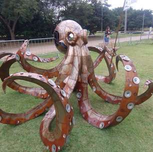 "Achavam que era brinquedinho", diz artista que recicla na maior ocupação do PR