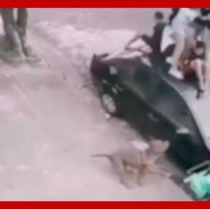 Grupo de crianças sobe em teto de carro para fugir de ataque de pitbull em SP