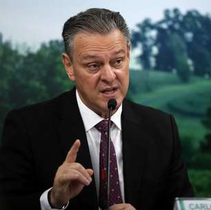 Brasil se declara livre da gripe aviária e impõe fim do 'vazio sanitário'