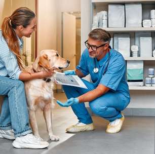 8 dicas para escolher o melhor veterinário para o seu pet