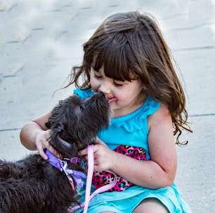 Raças de cães que não são adequadas para crianças; veja