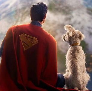 Herói de quatro patas: pet do Superman causa boom nas buscas por adoção de cachorro após estreia do filme