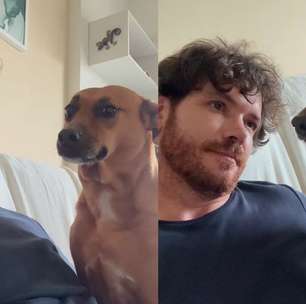 Vira-lata caramelo faz 'guarda' de tutor diabético durante crise glicêmica