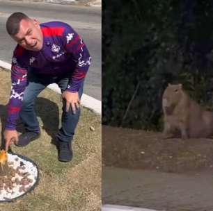 VÍDEO: Prefeito de cidade do RJ se revolta com vandalismo e descobre que ato foi feito por capivaras