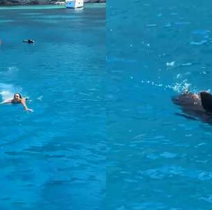 Turistas são perseguidas por javali em mar na Grécia