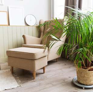 Feng Shui: como decorar com plantas e flores para chamar a sorte