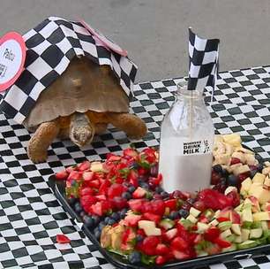 IndyCar: Alex Palou se consolida tetracampeão após problemas no carro de Pato O'Ward