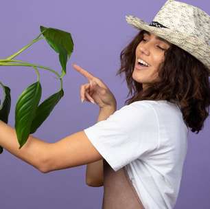 Como cuidar de plantas mesmo com rotina corrida