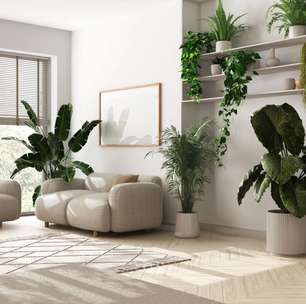 5 dicas para incorporar a biofilia na decoração