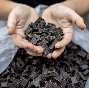 Bactérias são cruciais para sabor do chocolate, diz estudo