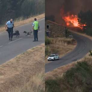 Policiais salvam cachorros durante combate a incêndio florestal em Portugal