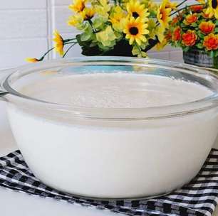 Iogurte caseiro com apenas 2 ingredientes bem consistente e sem soro